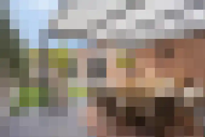Swalmzicht 16 Swalmen thumbnail 48