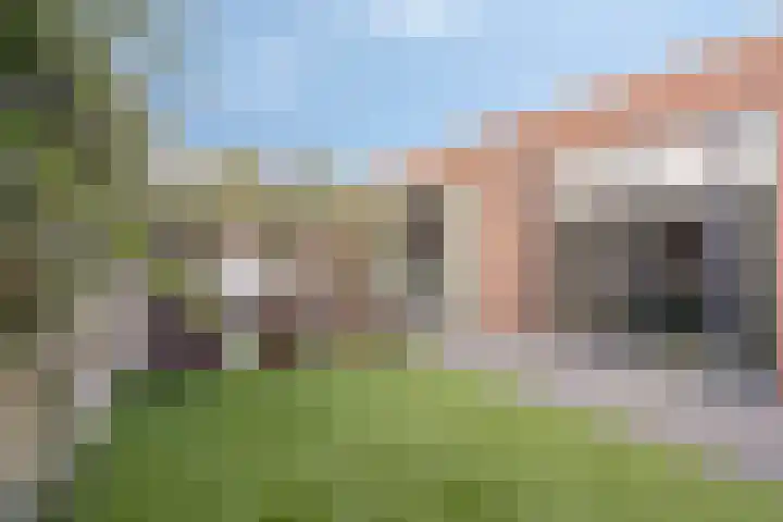 Swalmzicht 16 Swalmen thumbnail 52