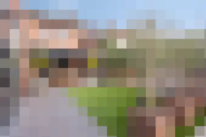 Swalmzicht 16 Swalmen thumbnail 55