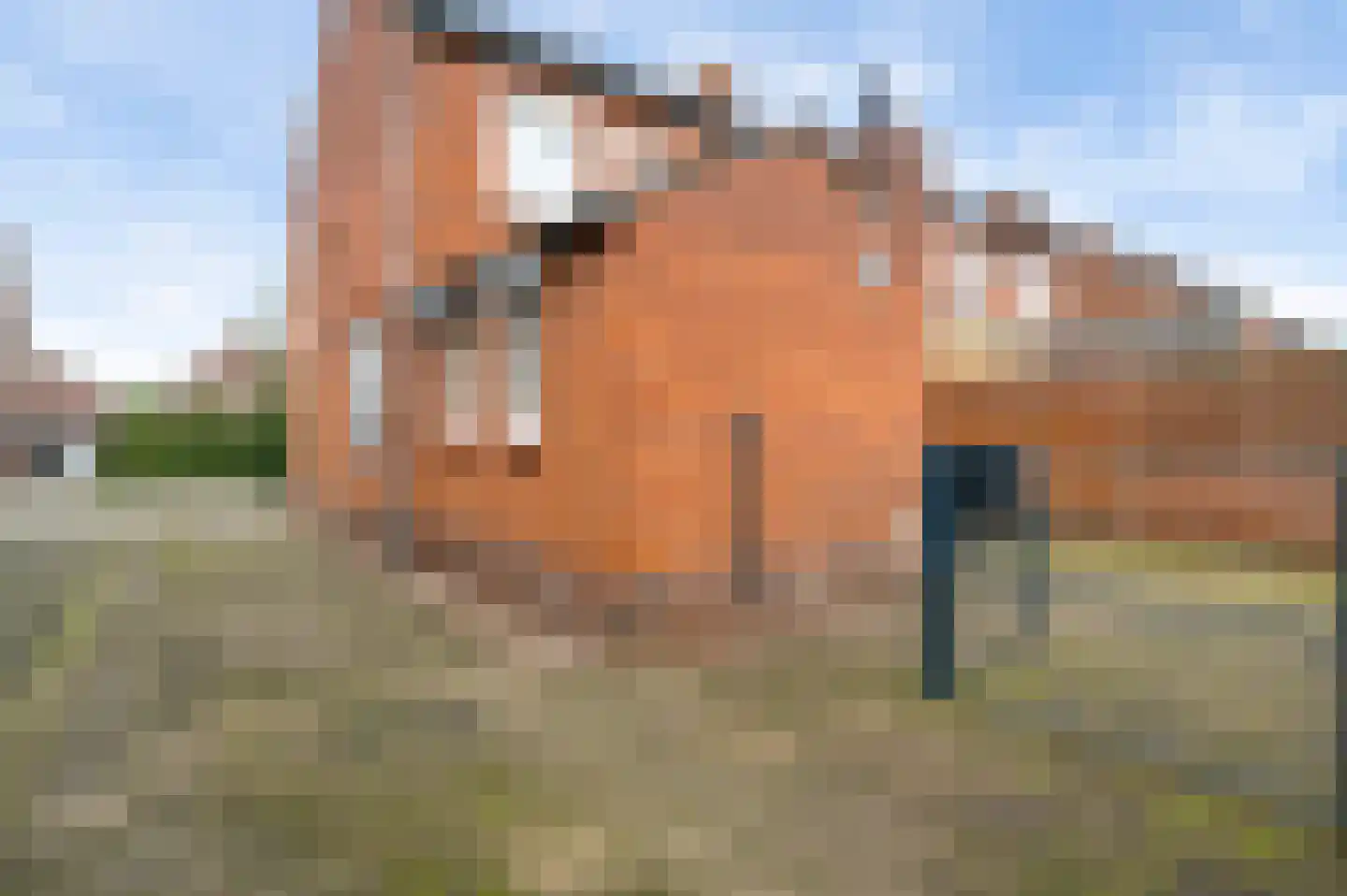 Swalmzicht 44 Swalmen thumbnail 4