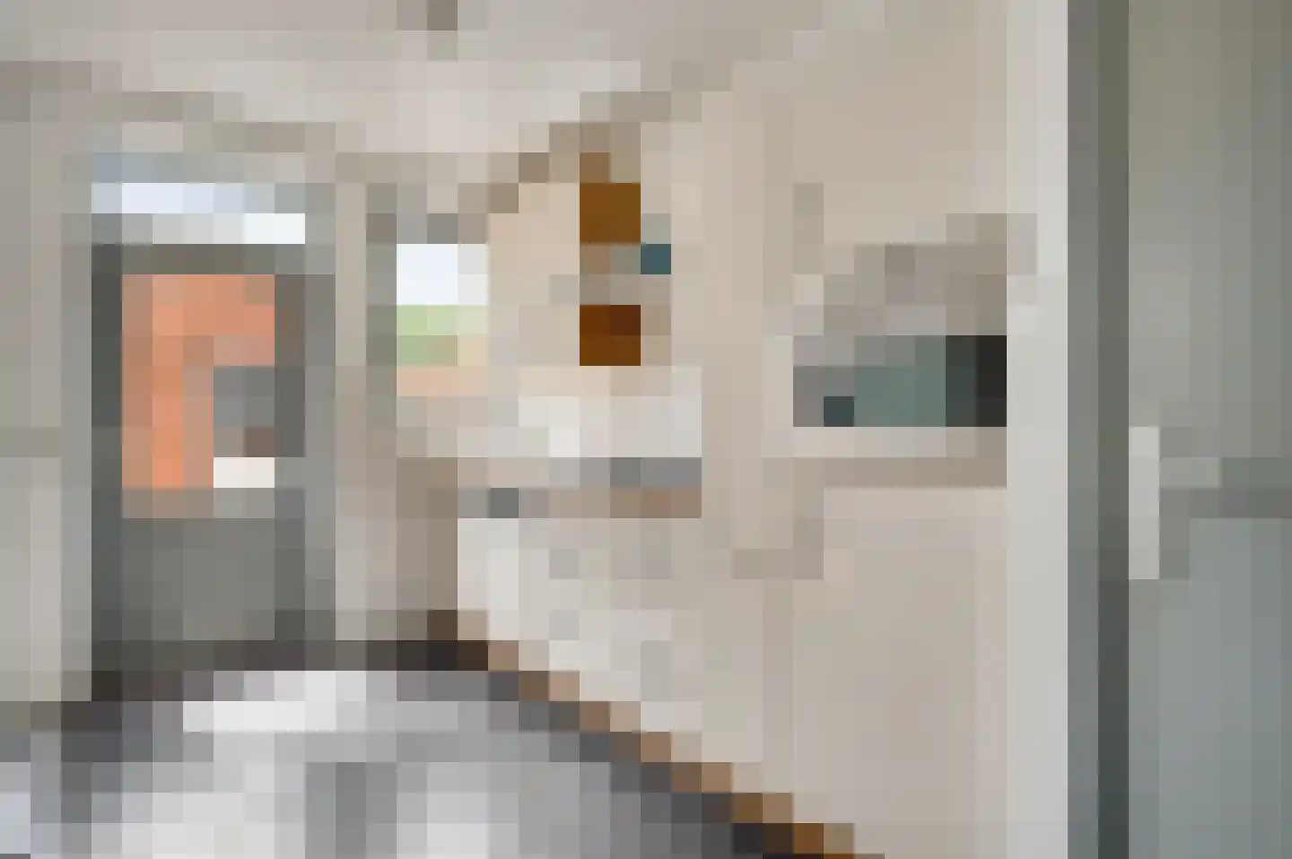 Swalmzicht 50 Swalmen thumbnail 12