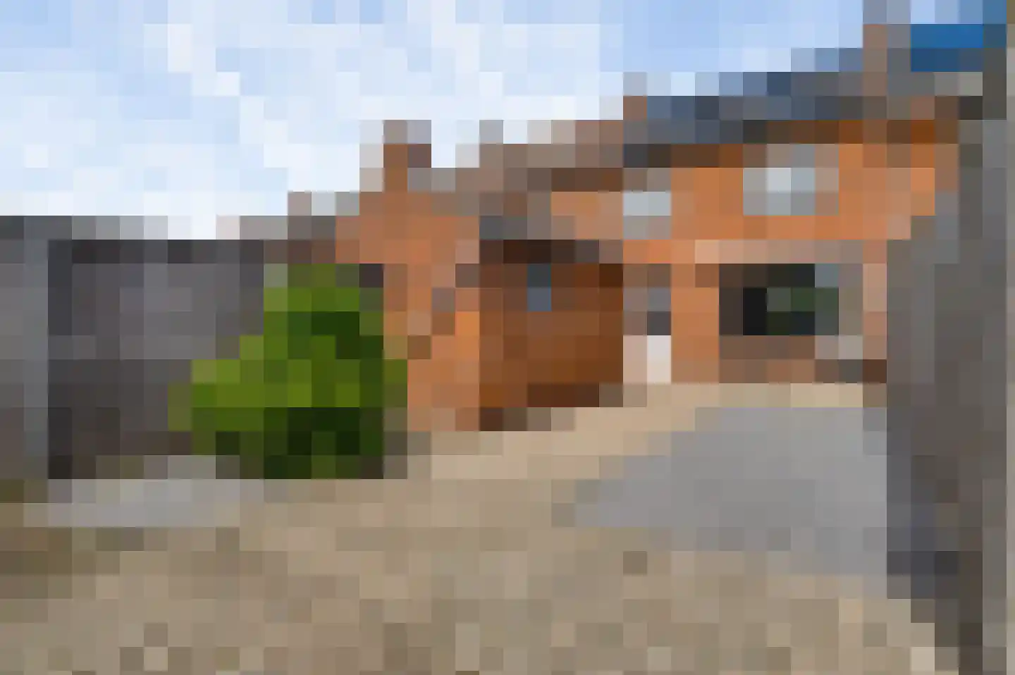 Swalmzicht 50 Swalmen thumbnail 26