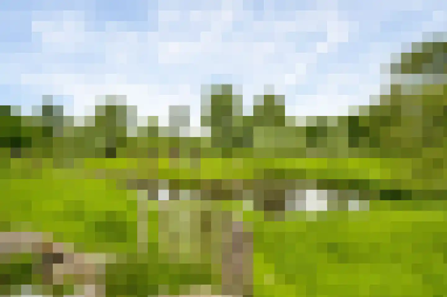 Swalmzicht 50 Swalmen thumbnail 30