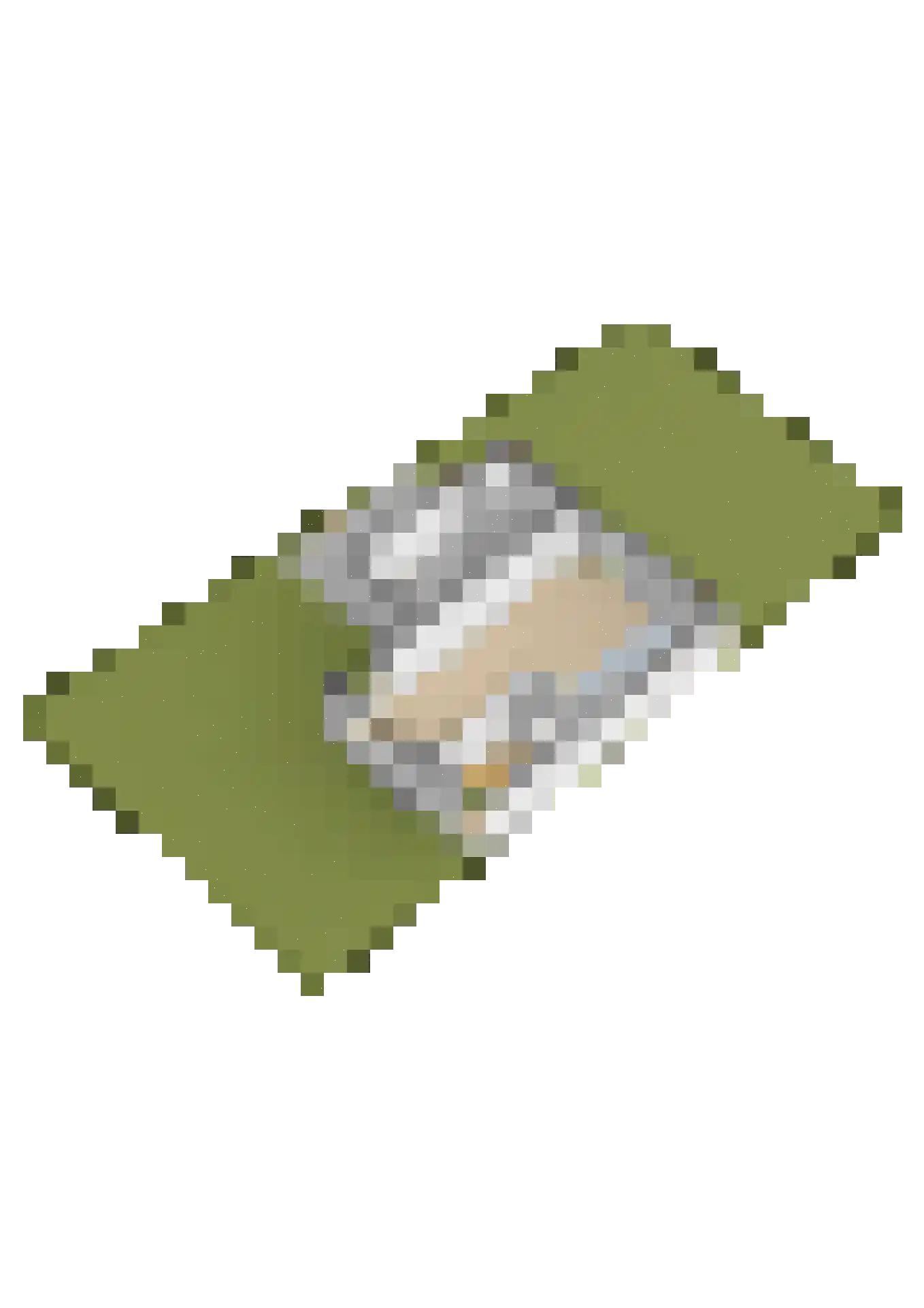 Swalp 4 Lemmer thumbnail 48
