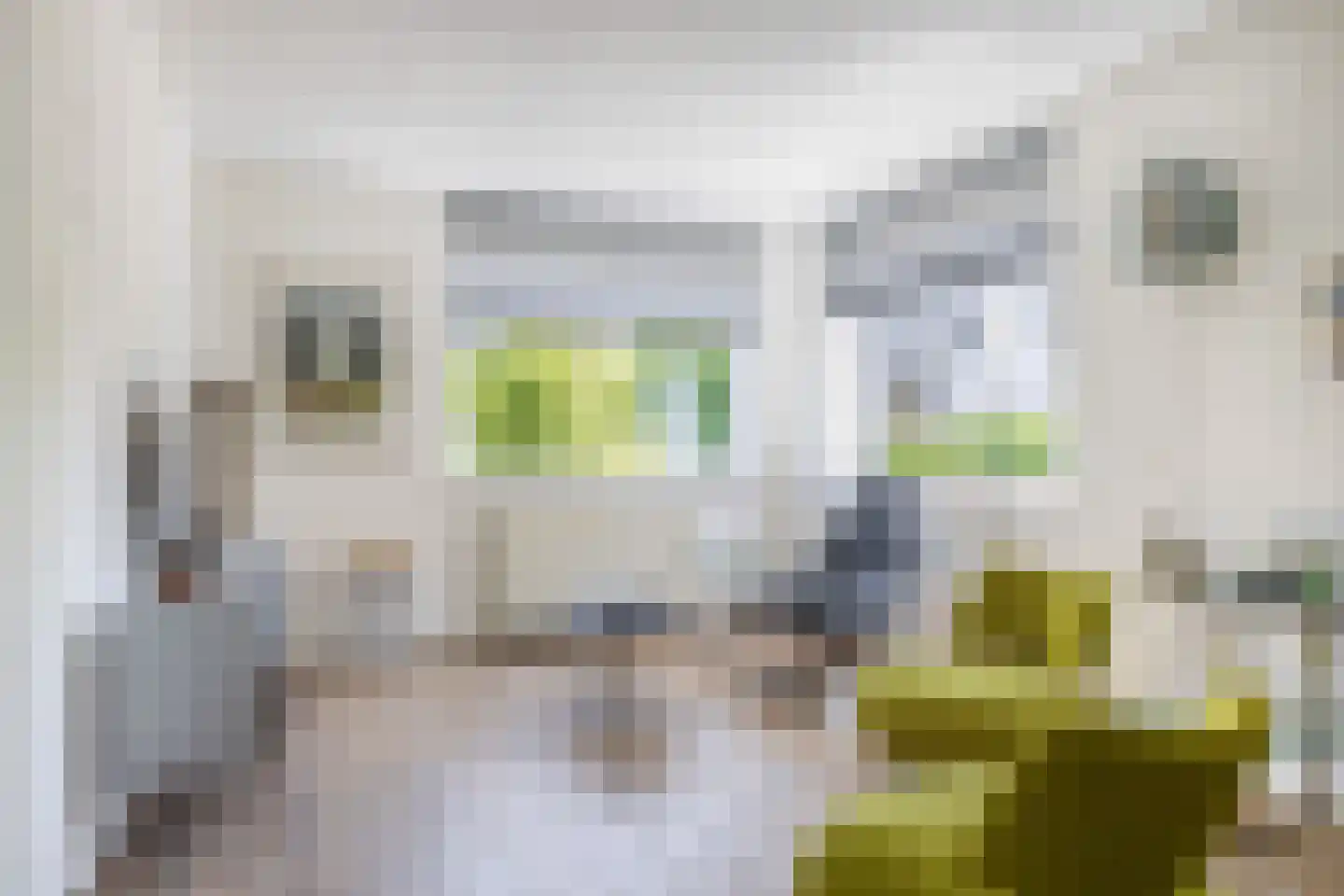 Swalp 4 Lemmer thumbnail 5