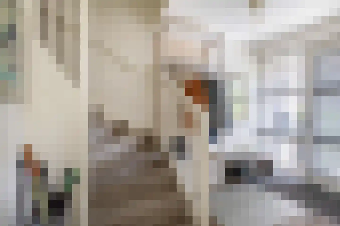 Swalp 4 Lemmer thumbnail 6