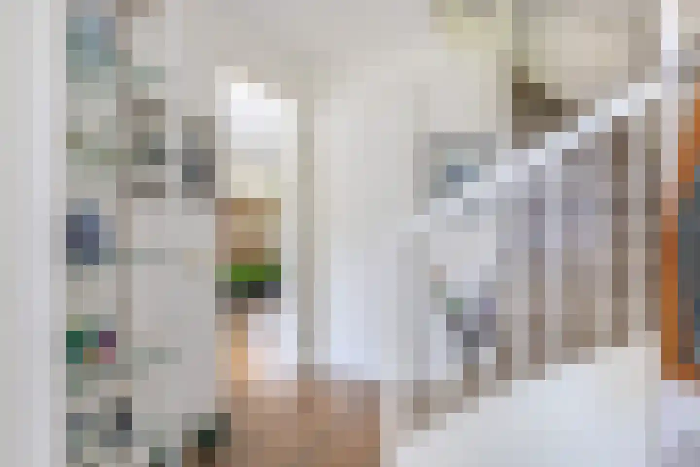 Swalp 4 Lemmer thumbnail 7