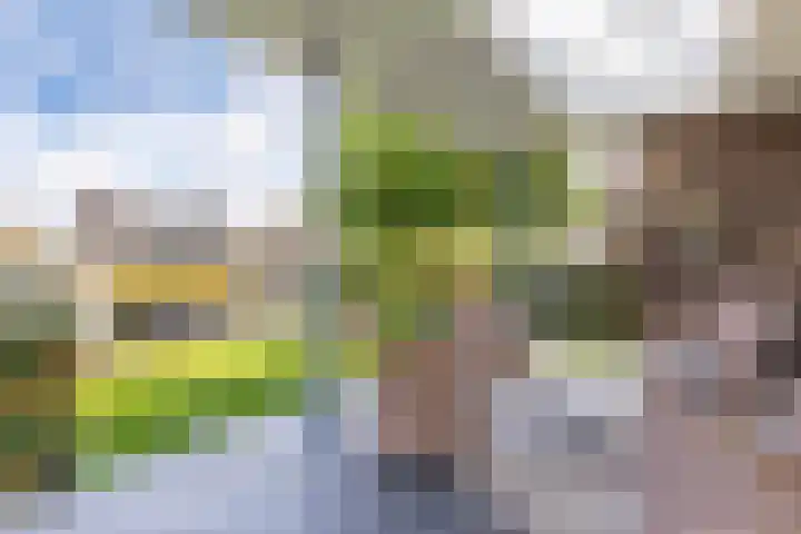Swalp 9 Lemmer thumbnail 17
