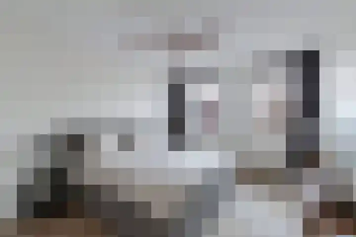Swalp 9 Lemmer thumbnail 22