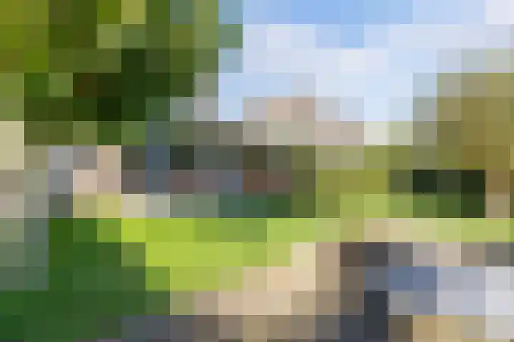 Swalp 9 Lemmer thumbnail 34
