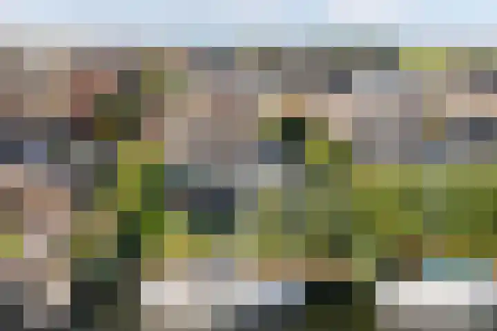 Swalp 9 Lemmer thumbnail 36