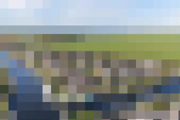 Swalp 9 Lemmer thumbnail 37
