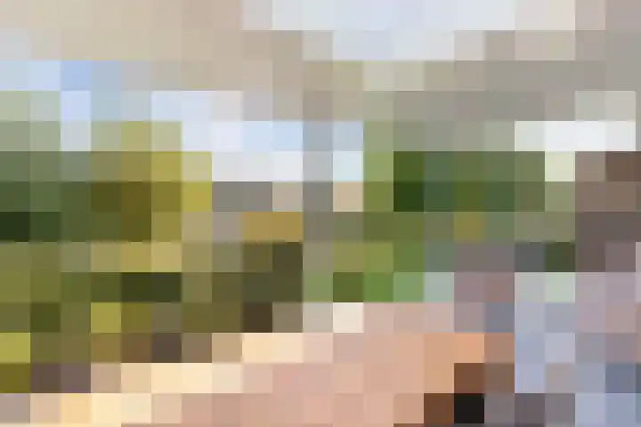 Swalp 9 Lemmer thumbnail 4