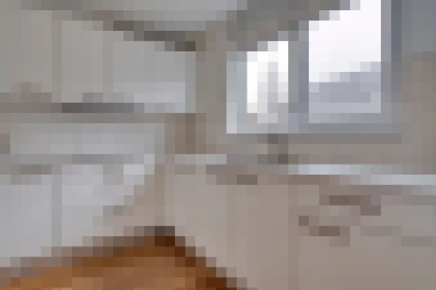 Swammerdamlaan 2 Zwolle thumbnail 13
