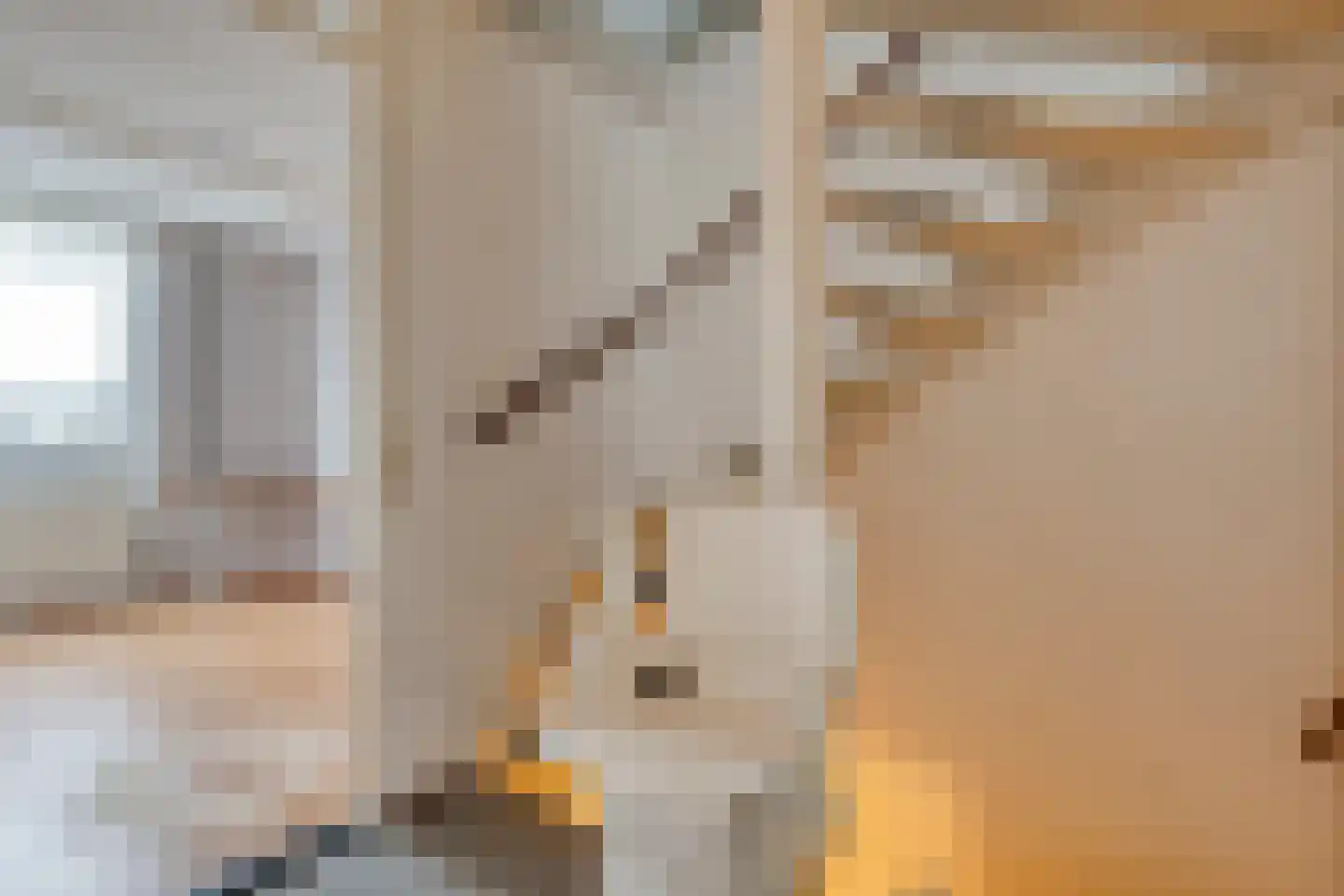 Swammerdamlaan 2 Zwolle thumbnail 20