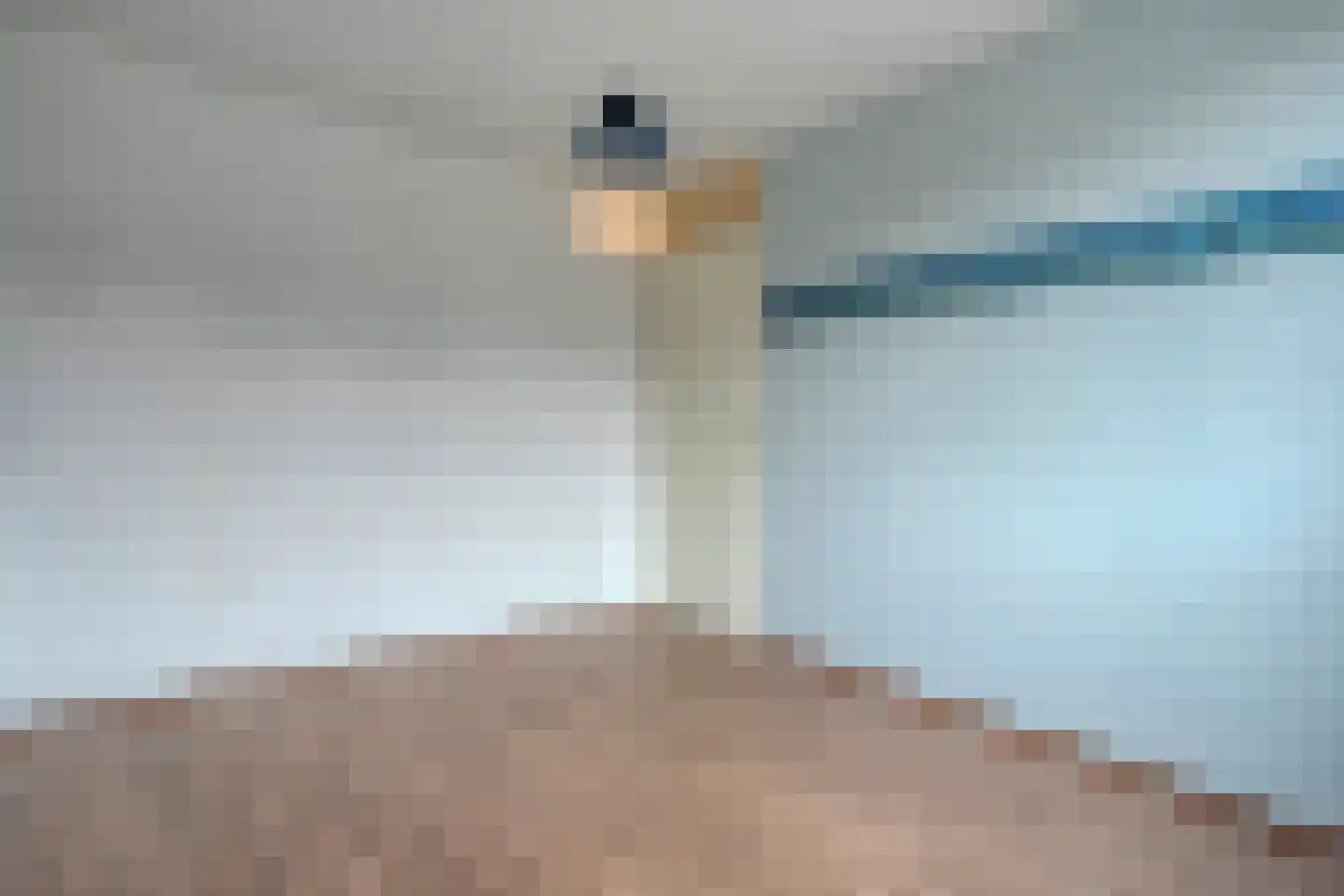 Swammerdamlaan 2 Zwolle thumbnail 27