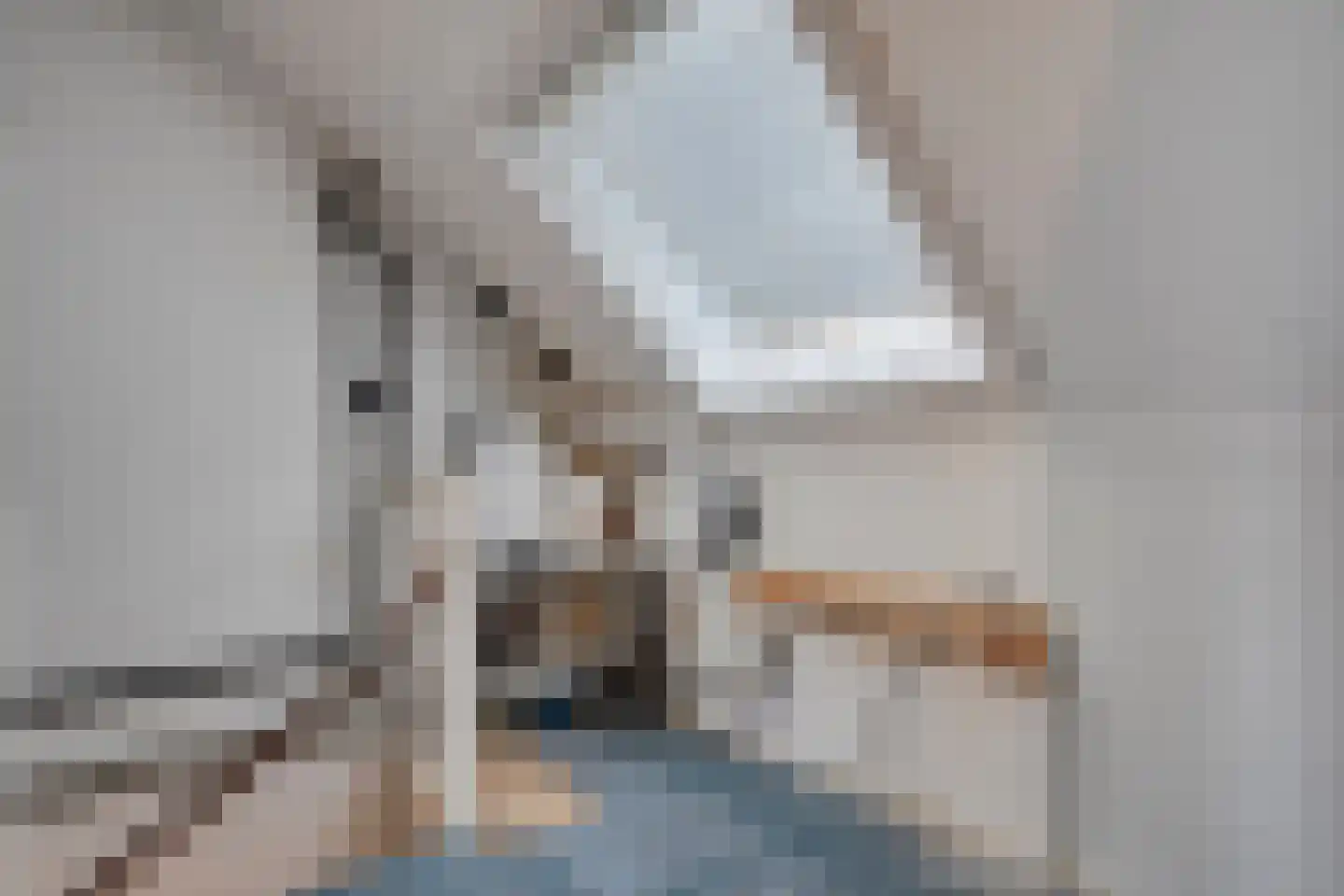 Swammerdamlaan 2 Zwolle thumbnail 31