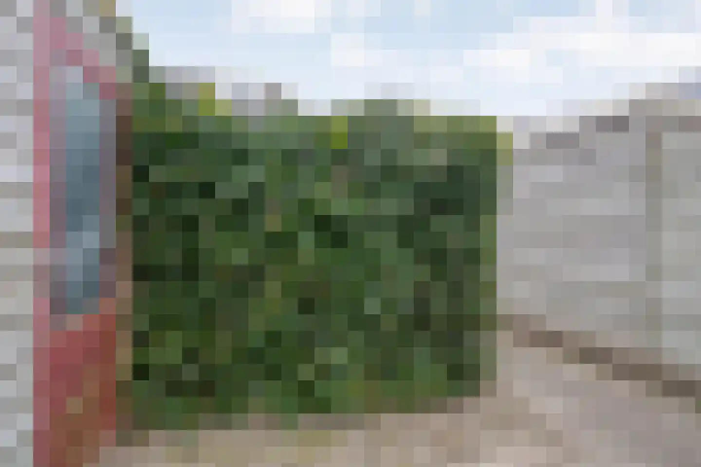 Swammerdamlaan 2 Zwolle thumbnail 41