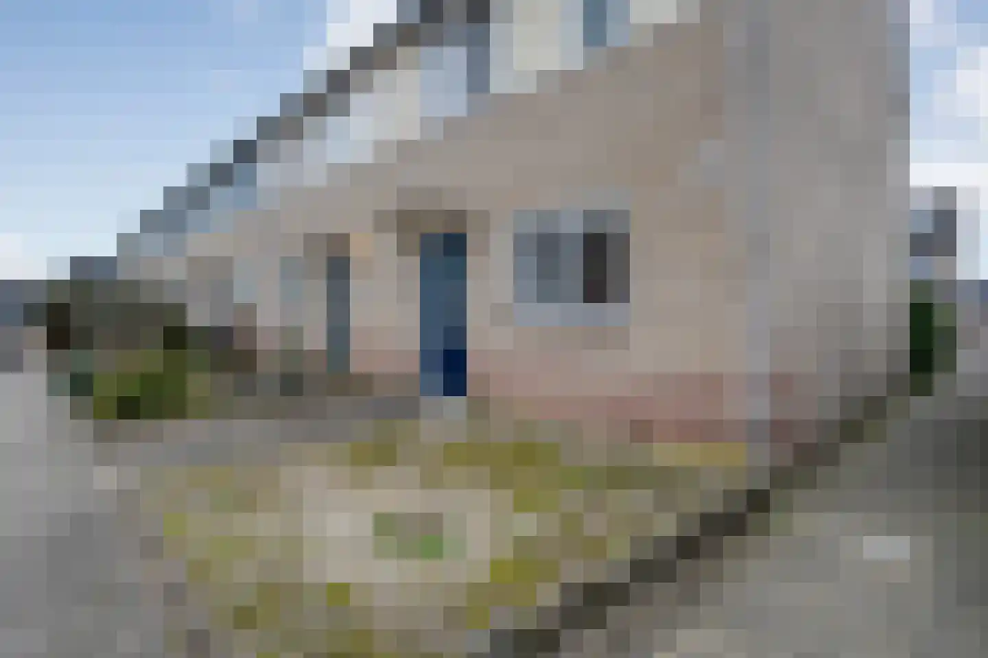 Swammerdamlaan 2 Zwolle thumbnail 8