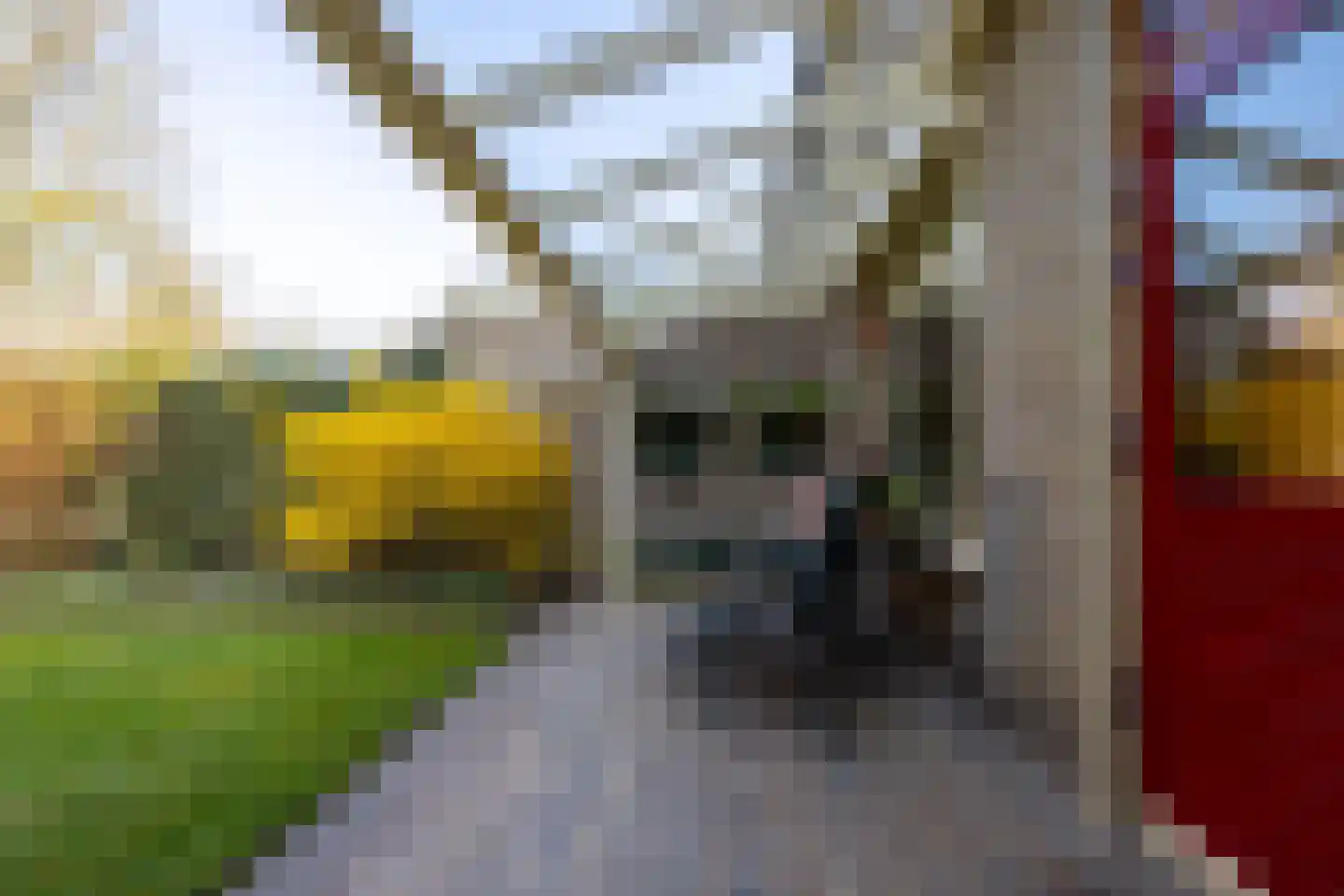 Swammerdamlaan 31 Doetinchem thumbnail 14