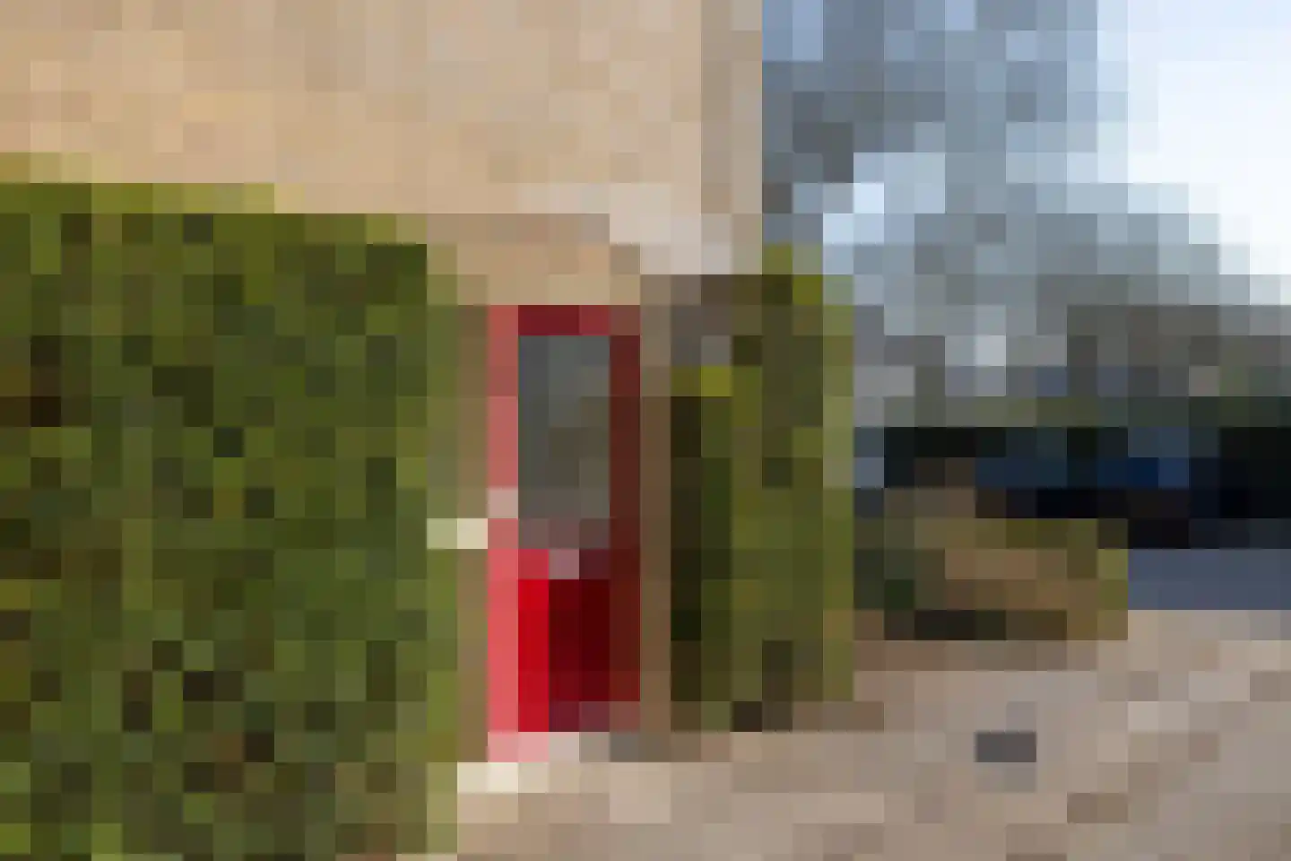 Swammerdamlaan 31 Doetinchem thumbnail 21