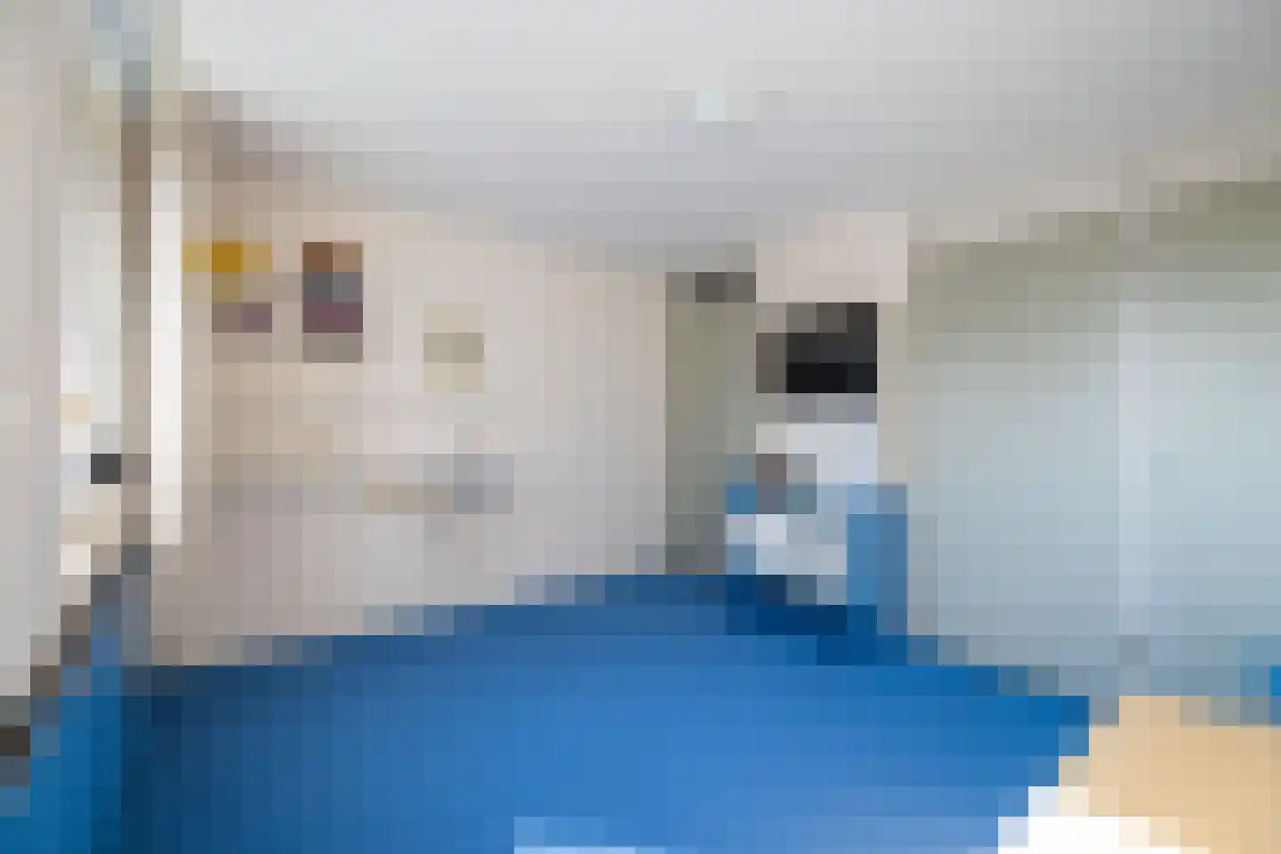 Swammerdamlaan 31 Doetinchem thumbnail 32