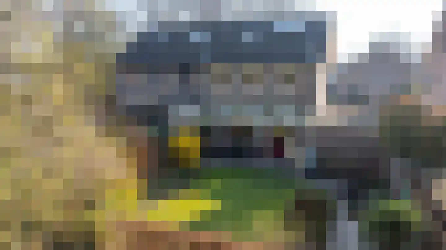 Swammerdamlaan 31 Doetinchem thumbnail 42