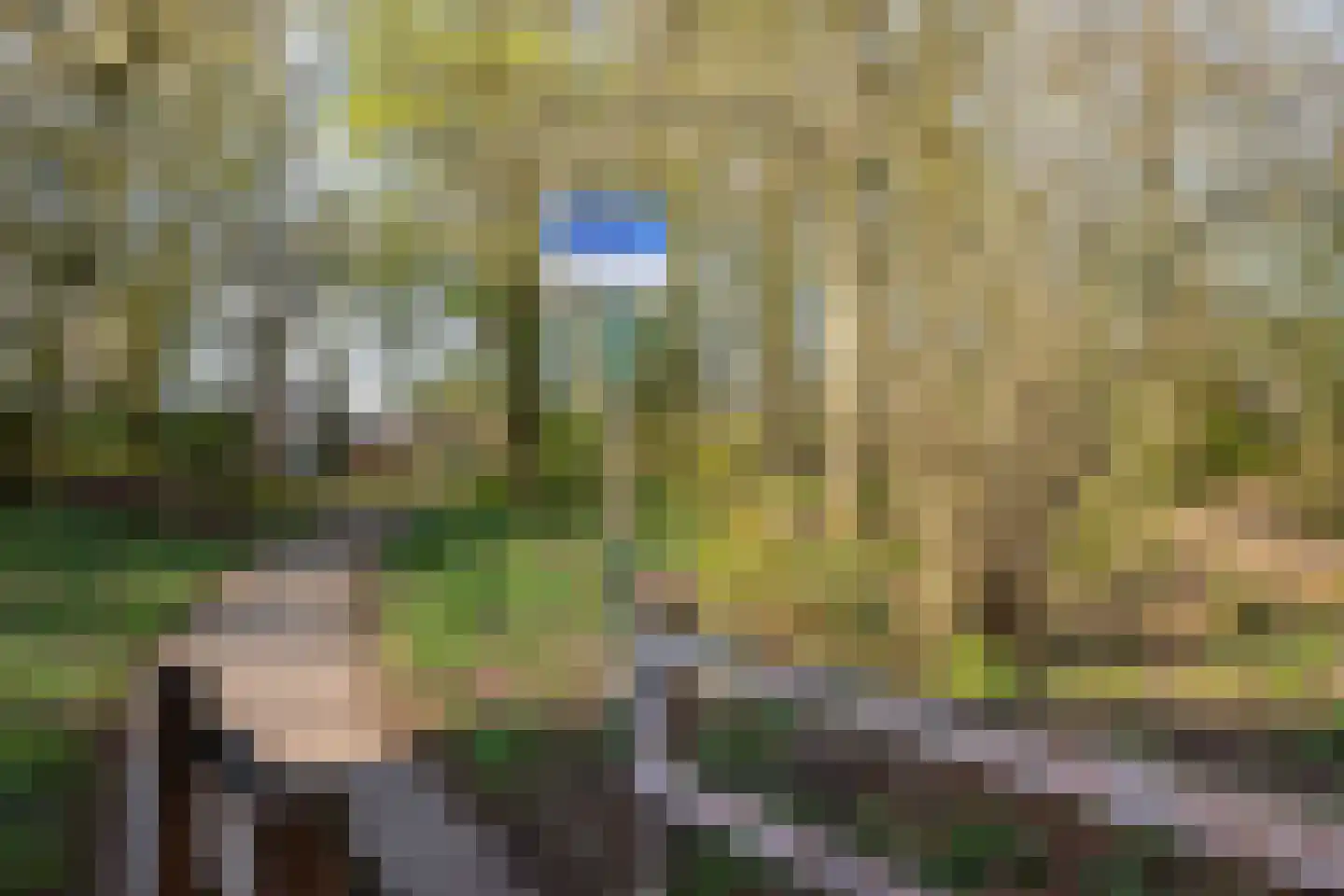 Swammerdamlaan 31 Doetinchem thumbnail 43