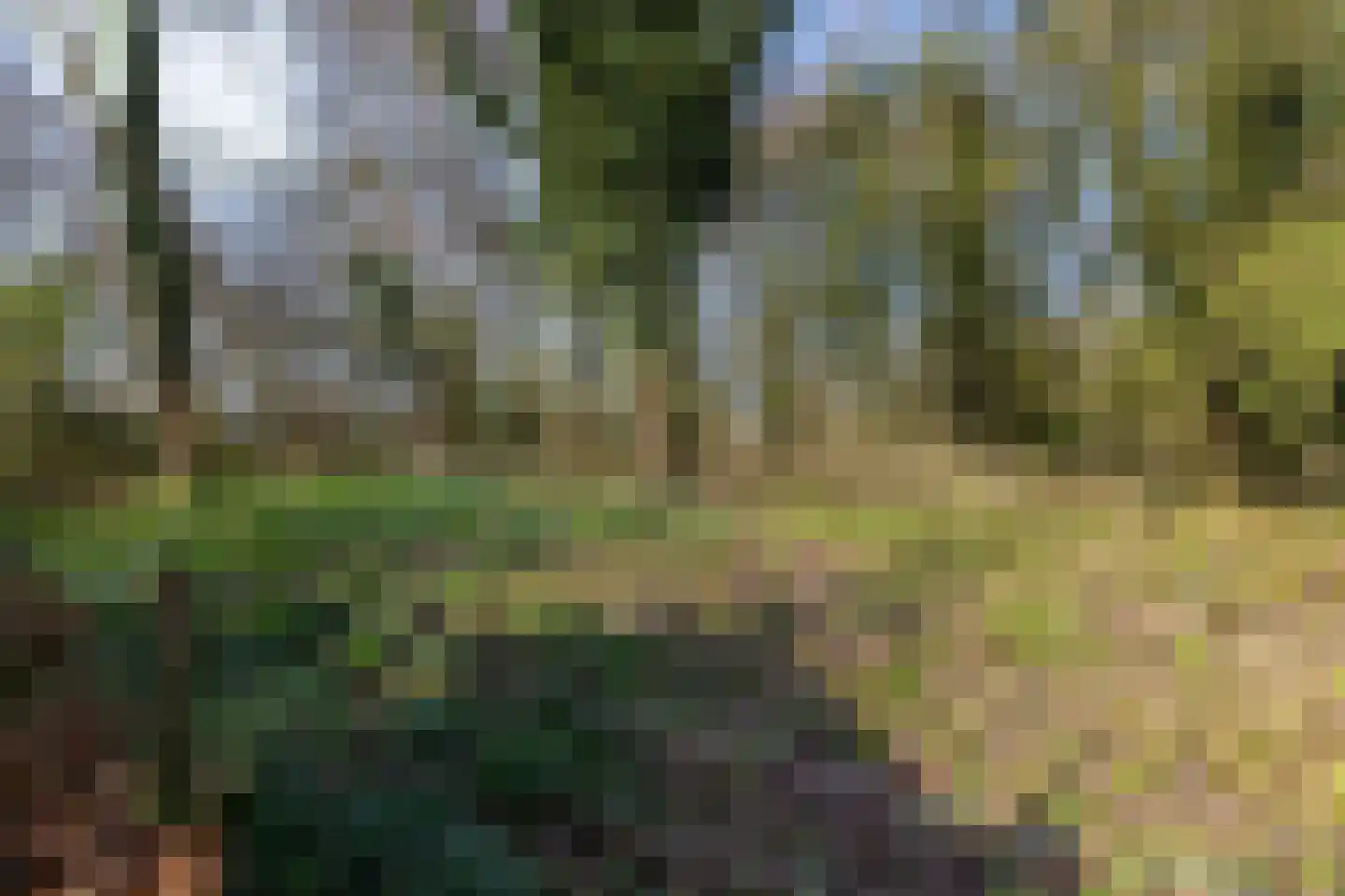 Swammerdamlaan 31 Doetinchem thumbnail 45