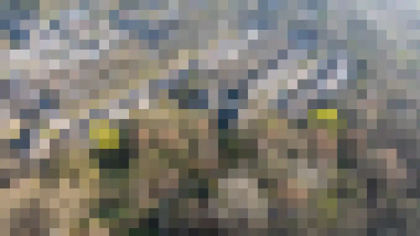 Swammerdamlaan 31 Doetinchem thumbnail 47