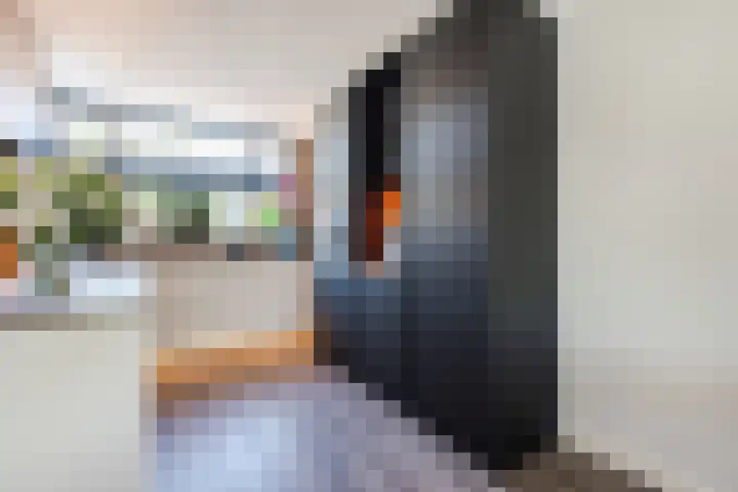 Swammerdamlaan 38 Zwolle thumbnail 11