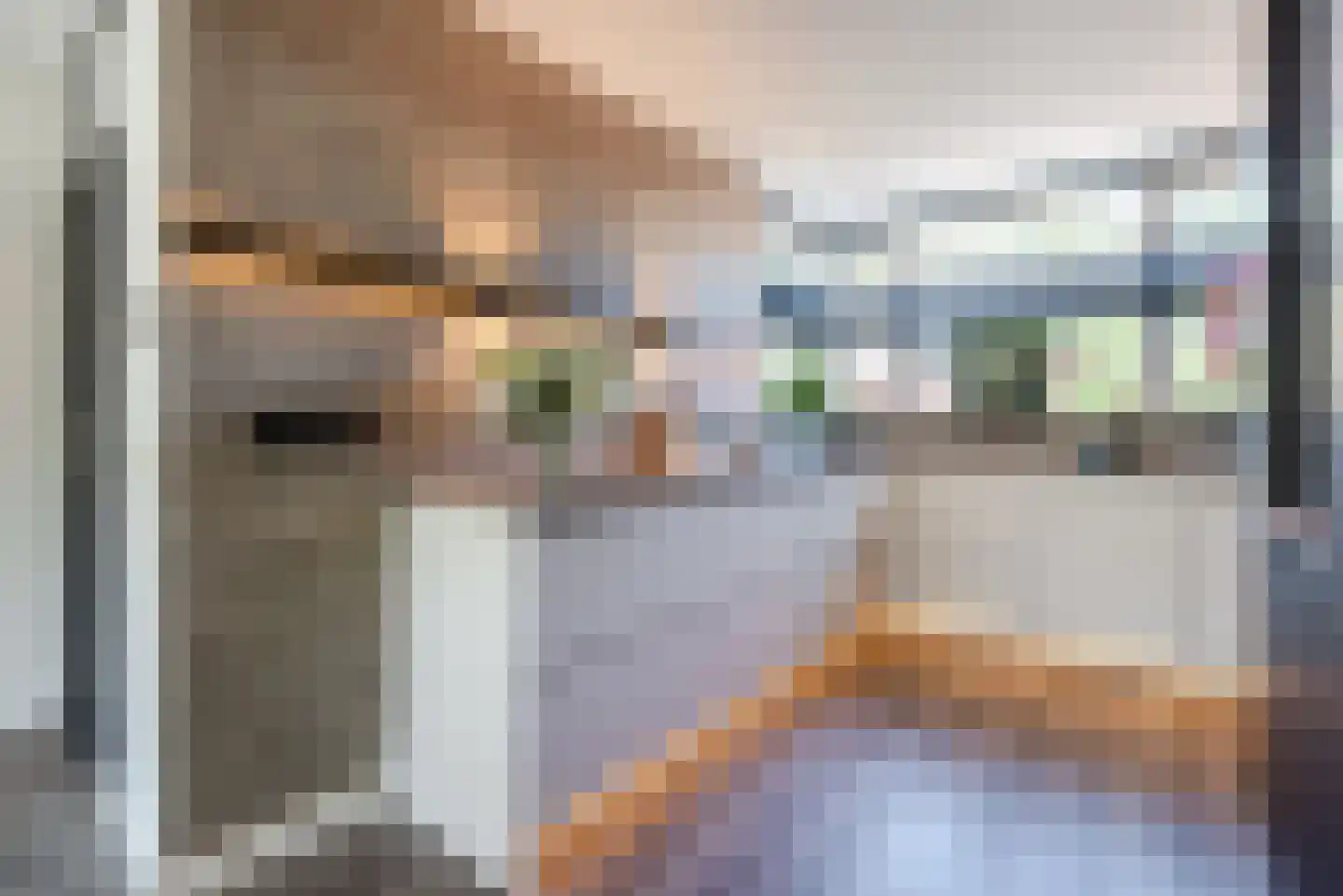Swammerdamlaan 38 Zwolle thumbnail 12