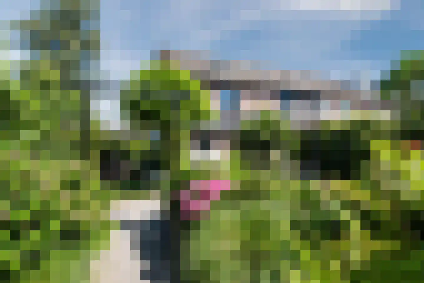 Swammerdamlaan 38 Zwolle thumbnail 34