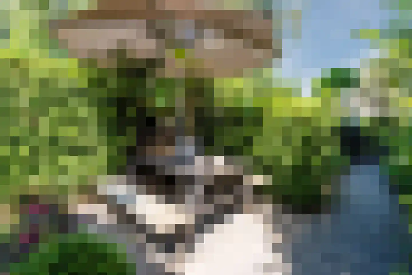 Swammerdamlaan 38 Zwolle thumbnail 36