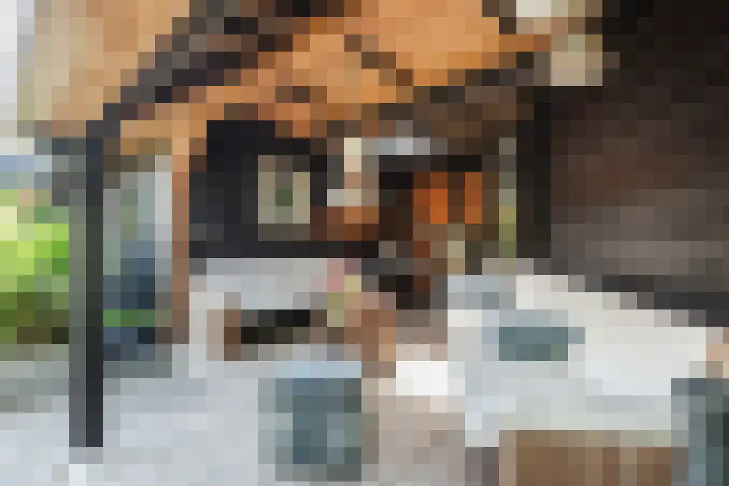 Swammerdamlaan 38 Zwolle thumbnail 42