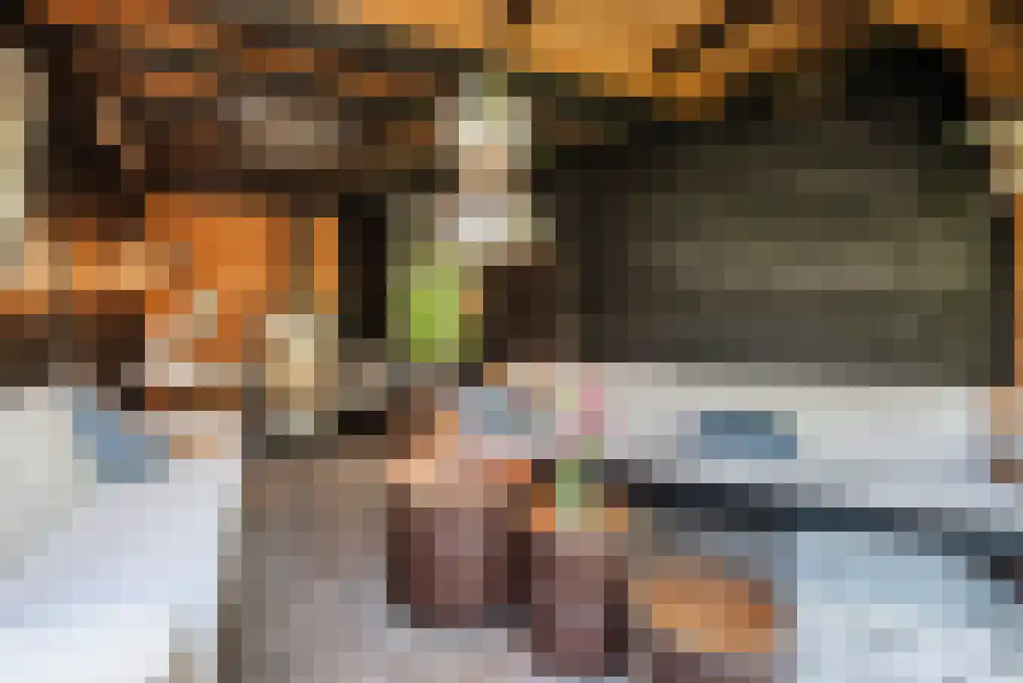 Swammerdamlaan 38 Zwolle thumbnail 44