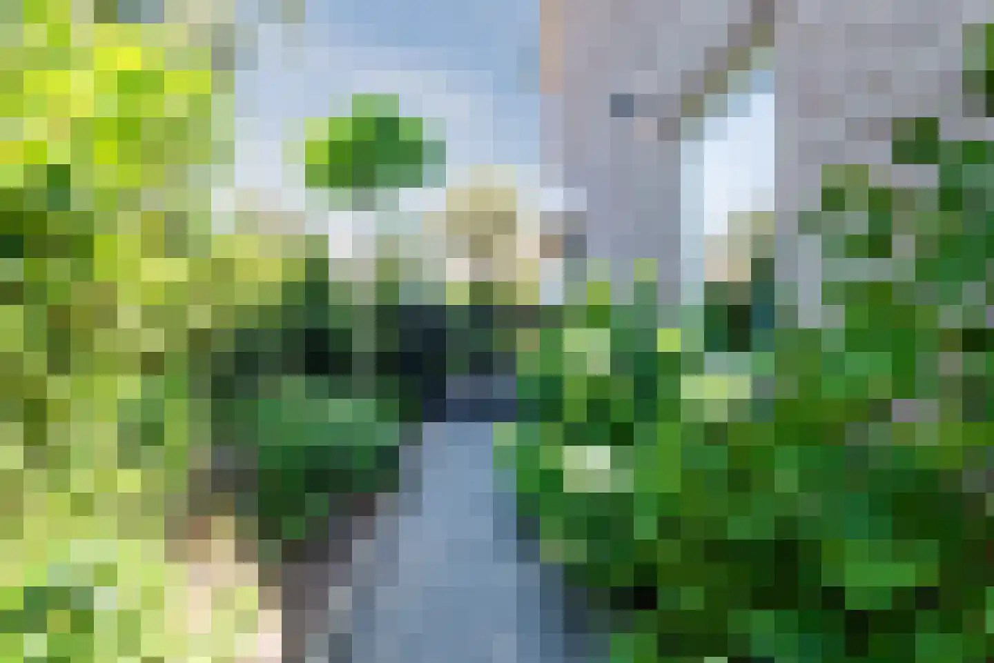 Swammerdamlaan 38 Zwolle thumbnail 46