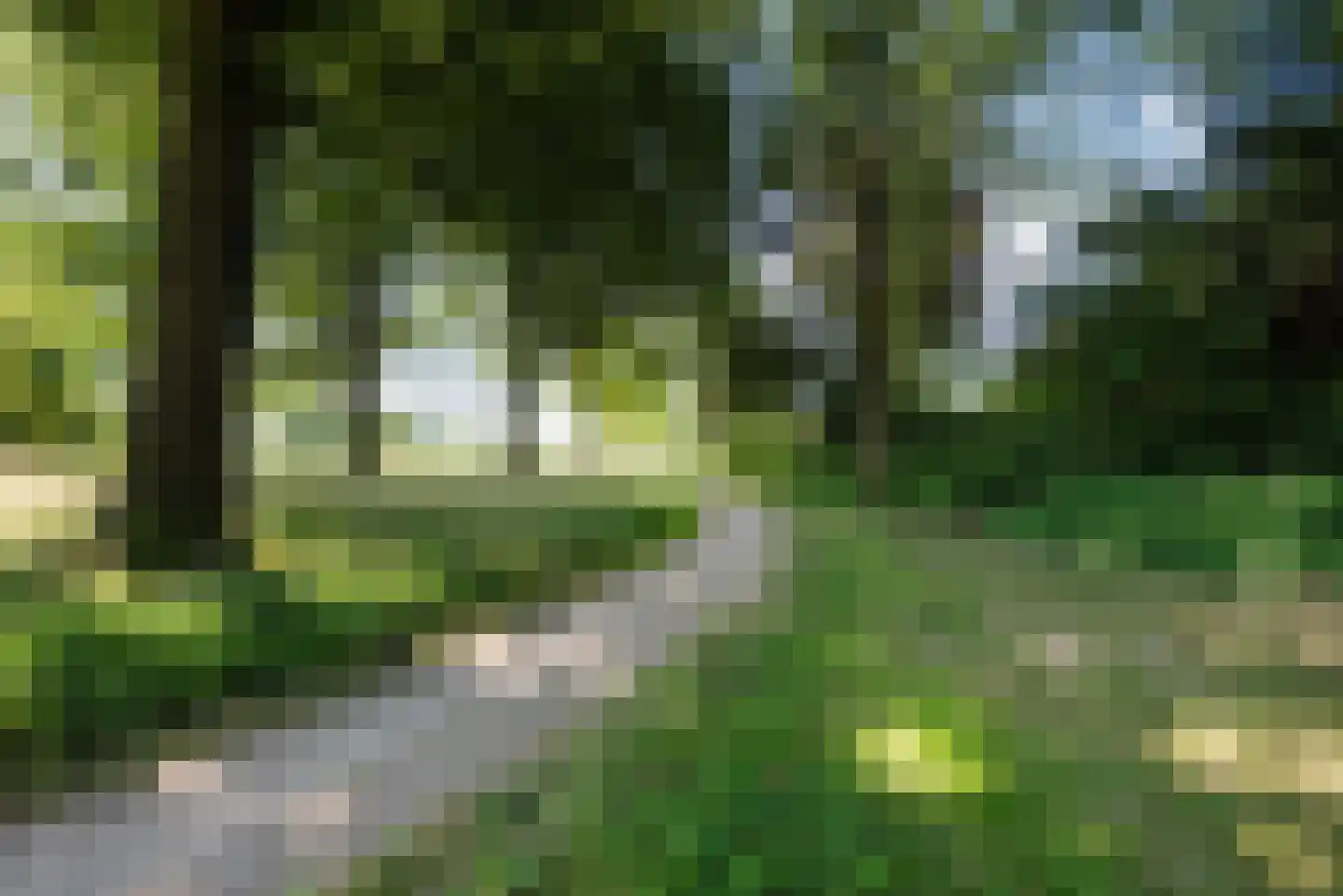 Swammerdamlaan 38 Zwolle thumbnail 50