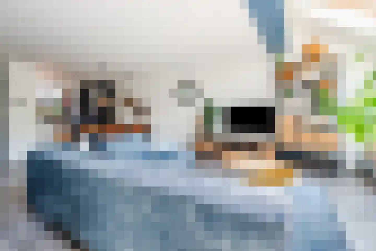 Swammerdamlaan 38 Zwolle thumbnail 7