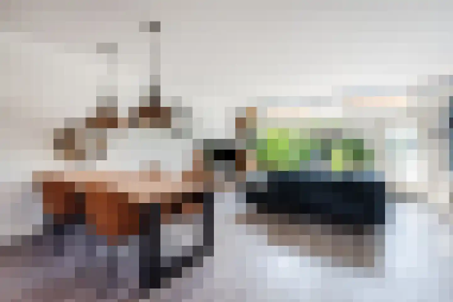 Swammerdamlaan 38 Zwolle thumbnail 9