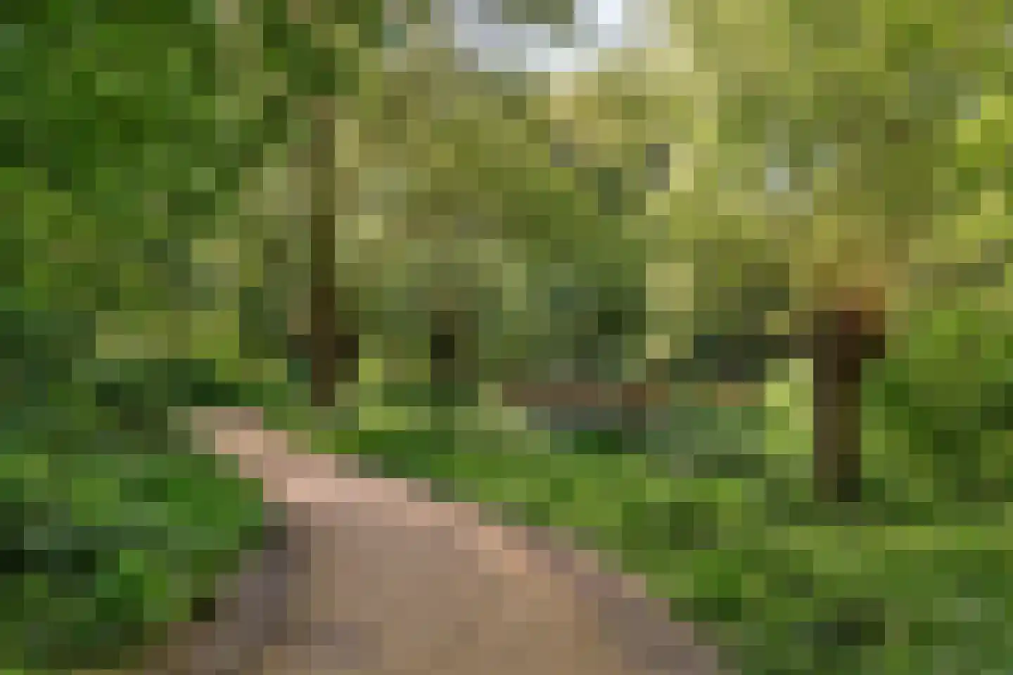 Swammerdamlaan 54 Doetinchem thumbnail 41