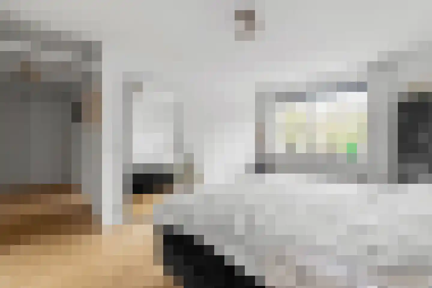 Swammerdampad 41 Leiden thumbnail 21