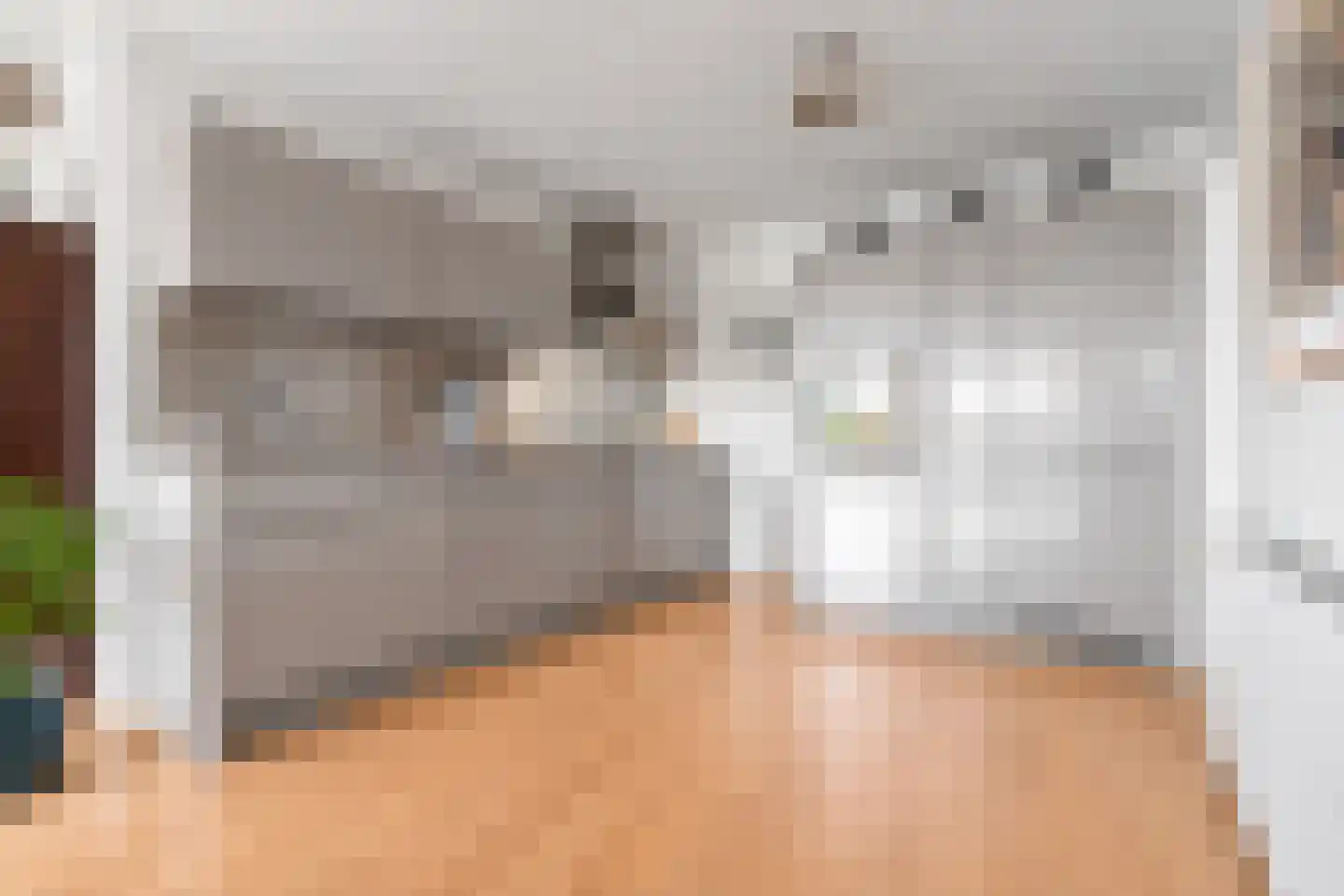 Swammerdampad 41 Leiden thumbnail 28