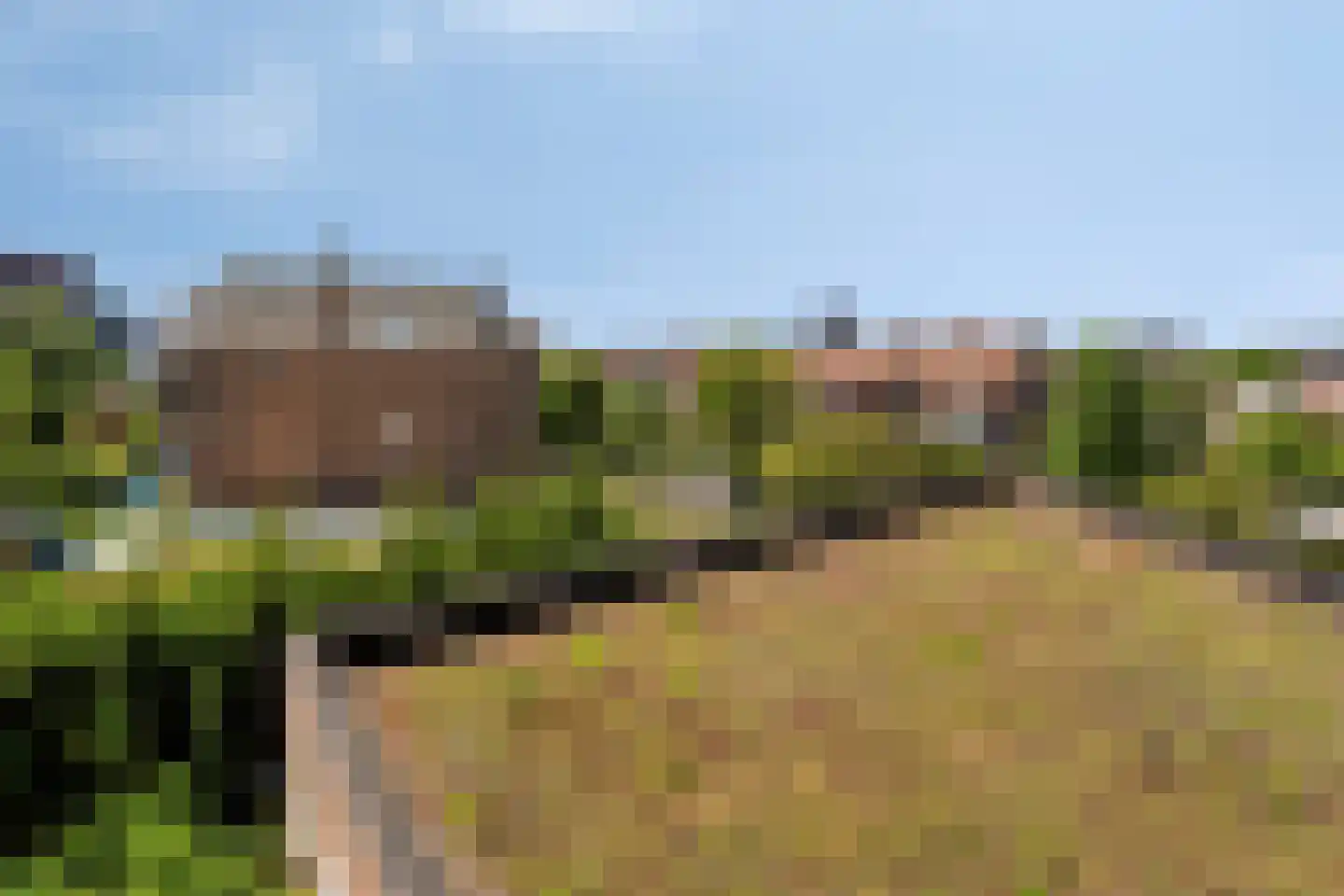 Swammerdampad 9 Leiden thumbnail 27