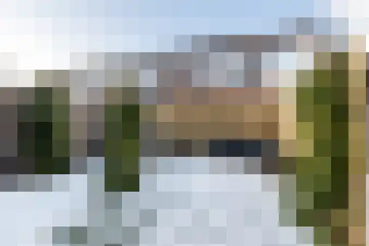 Swammerdamplein 2 Haarlem thumbnail 14