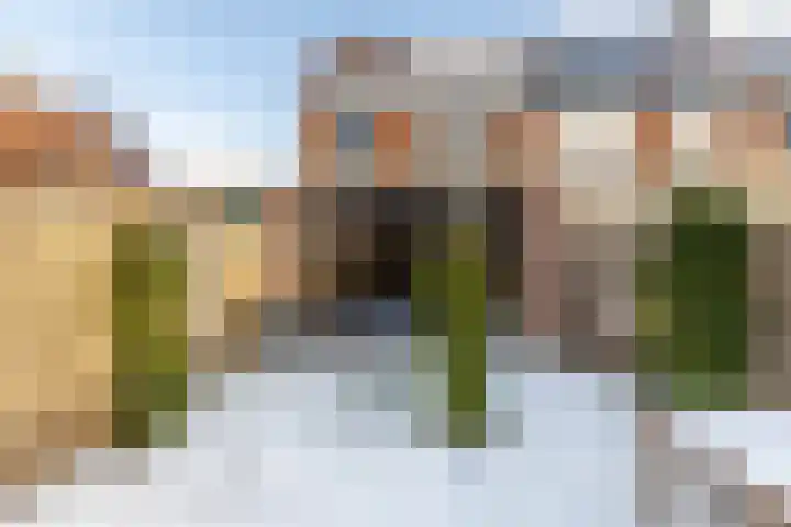 Swammerdamplein 2 Haarlem thumbnail 15