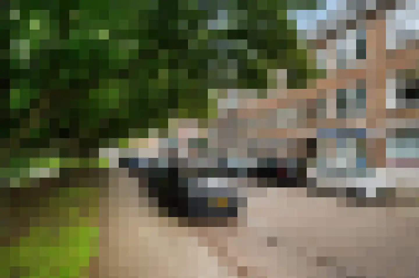Swammerdamsingel 15 B Schiedam thumbnail 24