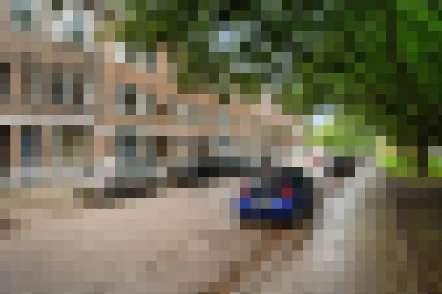 Swammerdamsingel 15 B Schiedam thumbnail 26