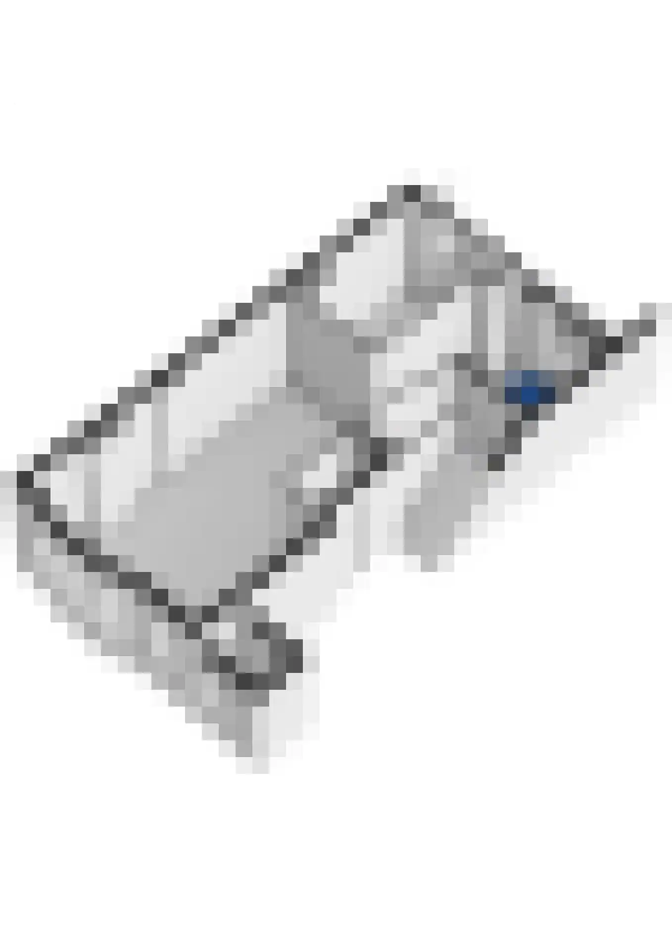 Swammerdamsingel 15 B Schiedam thumbnail 28