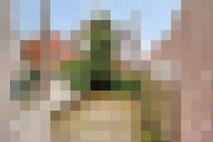 Swammerdamsingel 17 B Schiedam thumbnail 11